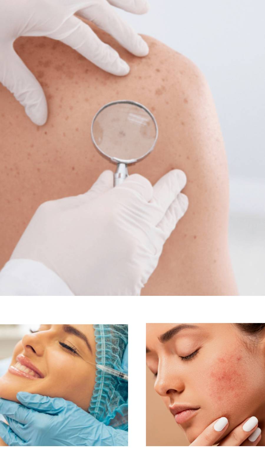especialidad