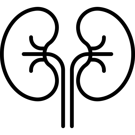 nefrologia